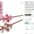 两束乐高樱花，26%折扣，现价$17！@ Amazon