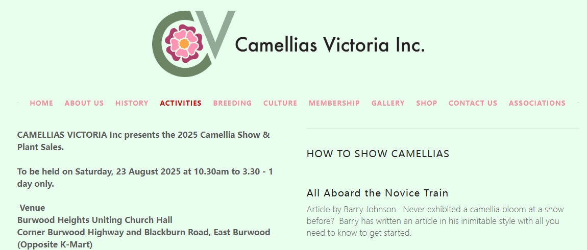 CAMELLIAS VICTORIA 2025年茶花展8月23日！@ Burwood